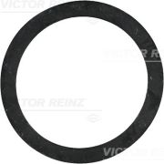 VICTOR REINZ VR407724300 Уплотнительное кольцо