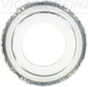 Victor Reinz VR702579200 Уплотнительное кольцо, стержень клапана