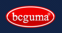 BCGUMA BC0632 Сайлентблок підвіски