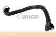 VAICO VIV102779 Шланг, воздухоотвод крышки головки цилиндра на автомобиль VW PASSAT