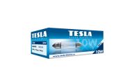 Tesla  Автомобильная лампа 24V 10W SV 8,5-8