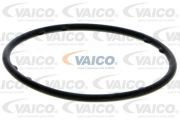 VAICO VIV1050099 Водяной насос на автомобиль VW CC