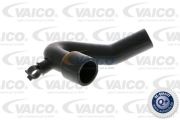 VAICO VIV102944 Шланг, воздухоотвод крышки головки цилиндра на автомобиль VW NEW